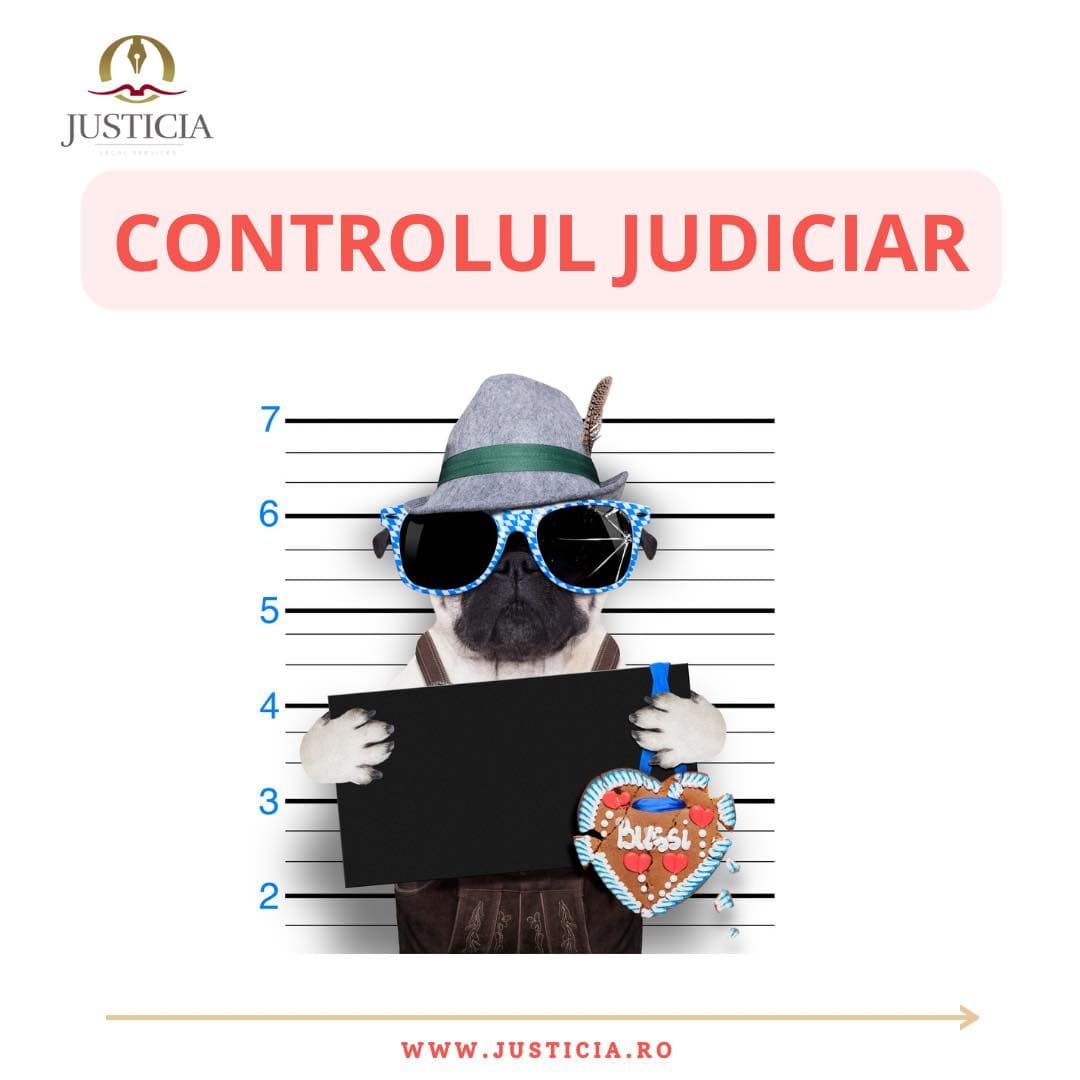 controlul judiciar