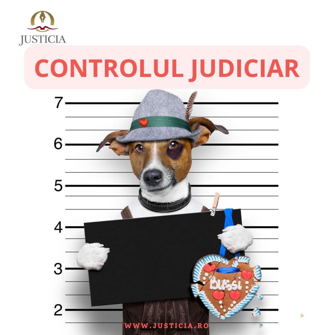 control judiciar