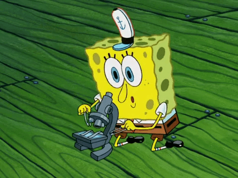 SpongeBob examinează o probă la microscop și ridică privirea.
